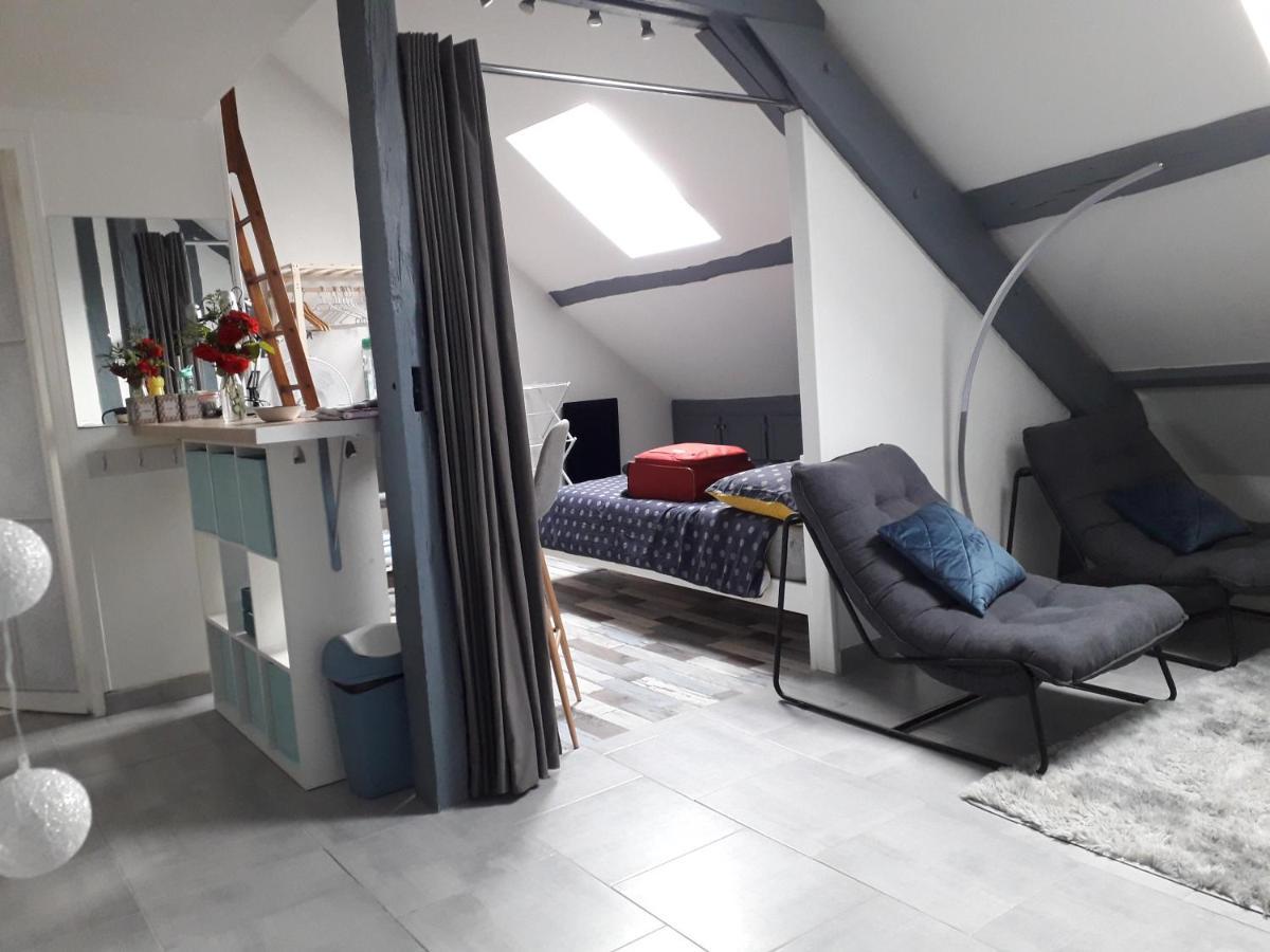 Loft Luxe Montargis: Central Haven with Bikes & River Views Exterior photo
